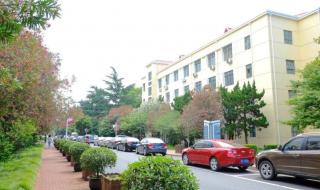 国际学校Alevel 国际学校Alevel