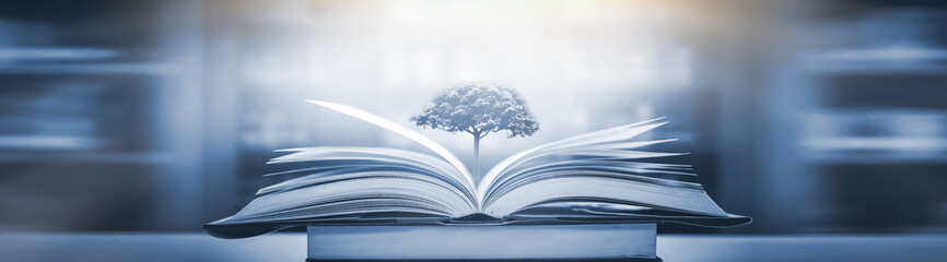 2013款宝马X1多媒体控制系统怎么使用 2013款宝马x1使用说明